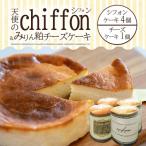 天使のシフォン&amp;みりん粕チーズケーキ