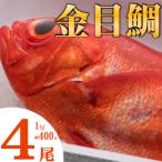 まるごと4匹 金目鯛