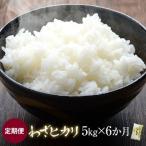 わざヒカリ5kg 米 JS-338