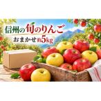信州の旬のりんごおまかせ約5キロ