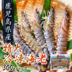 fu.... налог Minamikyushu город Кагосима префектура производство очень большой рефрижератор море .300g