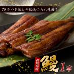 初音の産うなぎ蒲焼き