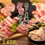 かごしま黒豚セット