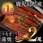 ふるさと納税 曽於市 無投薬!うなぎ蒲焼セット(上・ 約140g以上×2尾)　
