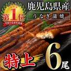 ふるさと納税 曽於市 無投薬!鹿児島県産うなぎ蒲焼セット<特上>(計960g・ 約160g以上×6尾) タレ・山椒付
