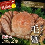 ふるさと納税 釧路市 【浜茹で!】ボイル毛ガニ380g(冷凍)×2尾 ふるさと納税 かに 蟹 F4F-5341