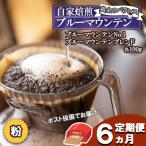 定期便 6ヶ月 黄金のバランス ブルーマウンテン