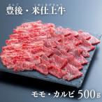 牛肉 焼肉 バーベキュー 豊後 米仕上牛 牛モモ 牛カルビ焼肉食べ比べ