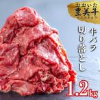 1.2kg