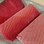 天然南鮪 大トロ 中トロ 赤身 約1kg