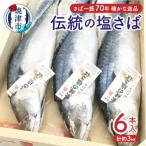 伝統の塩さば a17-090