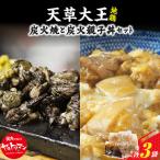 S081-003_天草大王炭火焼と天草大王炭火親子丼の素セット …