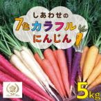 fu.... налог . юг город [ время ограничено ] зимний холод ........! радужный красочный морковь H022-012