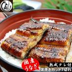 ふるさと納税 西都市 明治27年創業炭火焼一筋「うなぎの入船」かば焼7切(熟成たれ付)国産[1234]