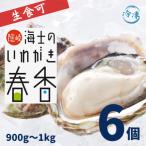 fu.... налог море . блок море . блок производство [.... весна .. имеется итого 900g~1kg SS размер 6 шт ]