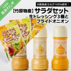サラダセット 生ドレッシング3種とフライドオニオン
