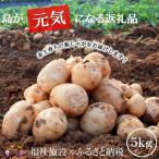 福祉作業所の仕事にもつながる 徳之島の“新”じゃがいも 5kg