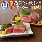 鮪とろづくし約1.65kgセット マルコ水産