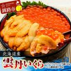 ふるさと納税 釧路市 えぞバフンうに折150g×1 いくら醤油漬け90g×1 北海道 釧路 F4F-8830