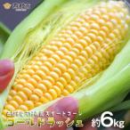河野農園 スイートコーン ゴールドラッシュ 約6kg