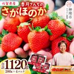 香月さんちのいちご さがほのか 280g×4パック