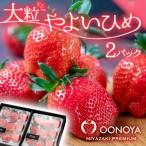 いちご 大粒厳選いちご やよいひめ 2パック