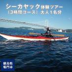 シーカヤック体験ツアー 1時間半コース