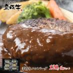 宮崎和牛 齋藤牛 牛100%プレミアムハンバーグ120g×6個