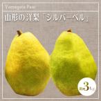 fu.... налог длина . город [2025 год 12 месяц отправка ] Yamagata. груша обыкновенная [ порог двери штанга ] примерно 3kg_H090(R7)