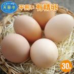 fu.... налог небо . город flat .. иметь . яйцо 30 шт яйцо Tama ._S061-004