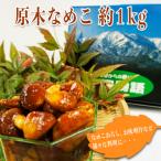 fu.... налог длина . город [2026 год отправка ]. дерево намеко примерно 1kg_H088(R8)