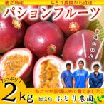 ~甘酸っぱい爽やかな味~ふとり農園のパッションフルーツ 2kg
