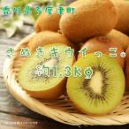 fu.... налог много раз Цу блок Kagawa префектура оригинал киви фрукты [... киви ..(R)]1.3kg[A-46]