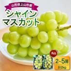 ぶどう シャインマスカット 2kg