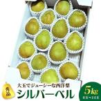 梨 西洋梨 シルバーベル 5kg