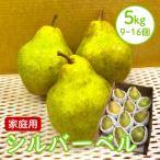 西洋梨 シルバーベル 5kg