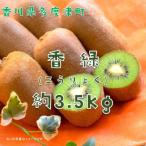 オリジナルキウイフルーツ 香緑 約3.5kg