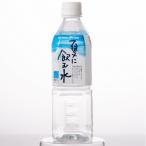 夏に飲む水 500mlペットボトル×24本
