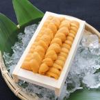 ふるさと納税 根室市 エゾバフンウニ130g×1折[2026年2月下旬以降発送] B-71019