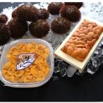 エゾバフンウニ塩水パック100~110g×2P
