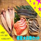 根室のお魚セットA B-59007