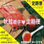 秋鮭親子Aコース定期便 2回発送 D-59010