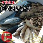 伊勢湾産 海産物 セット K5