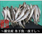 生干しこまい500g×4P A-57033
