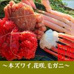 ふるさと納税 根室市 【年内配送可