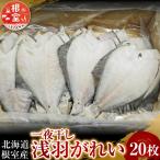 一夜干し浅羽がれい20枚 A-11059