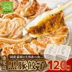 ふるさと納税 南九州市 国産素材にこだわった鹿児島黒豚餃子120個