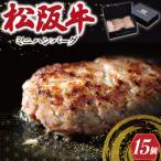 ふるさと納税 明和町 松阪牛入 ミニ ハンバーグ セット 50g × 15個 I27
