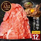 ふるさと納税 天草市 定期便12回 A4〜A5等級 黒毛和牛切り落とし1kg(500g×2P)_S001-001-T12A