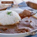 レトルトビーフカレー 1人前200g 6個入